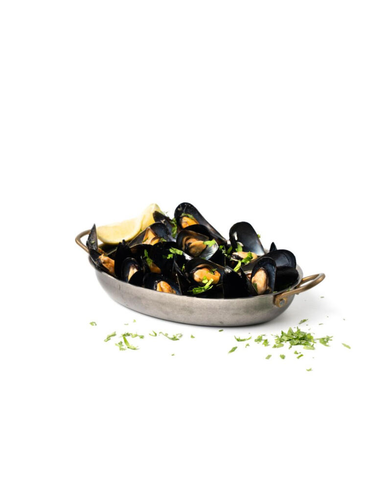 Vintage India's Legacy